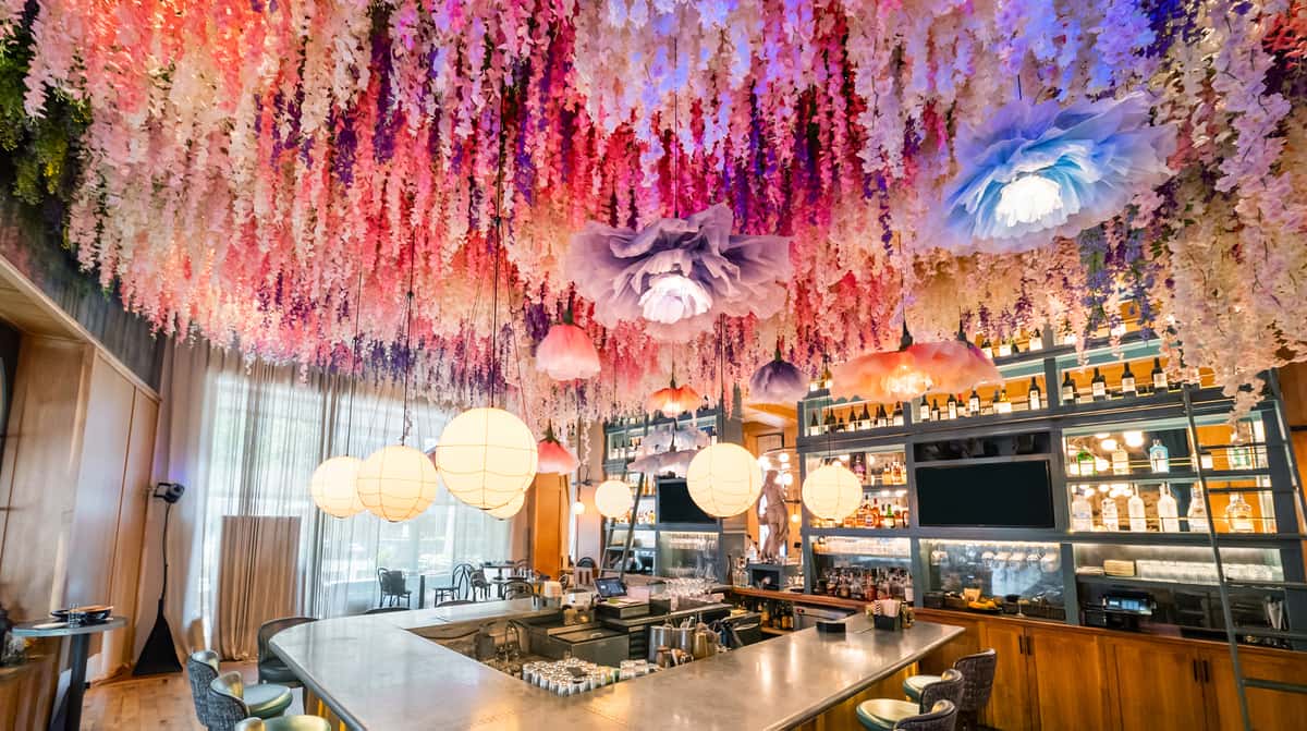 The Select Sandy Springs Bar Ceiling 2025