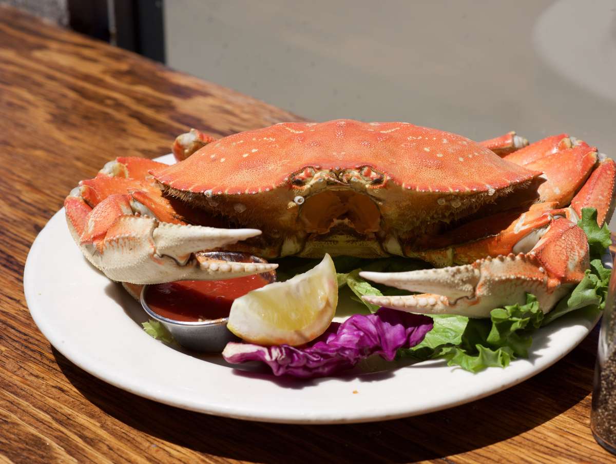 Whole Cooked Dungeness Crab - Appetizers, Soups & Salads - Fisherman's