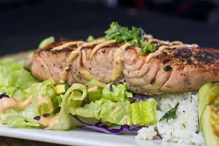 Salmon