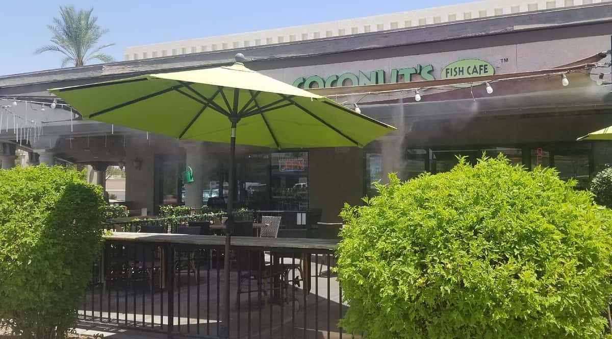 Sunny outdoor section of the Coconut's Fish Cafe restaurant