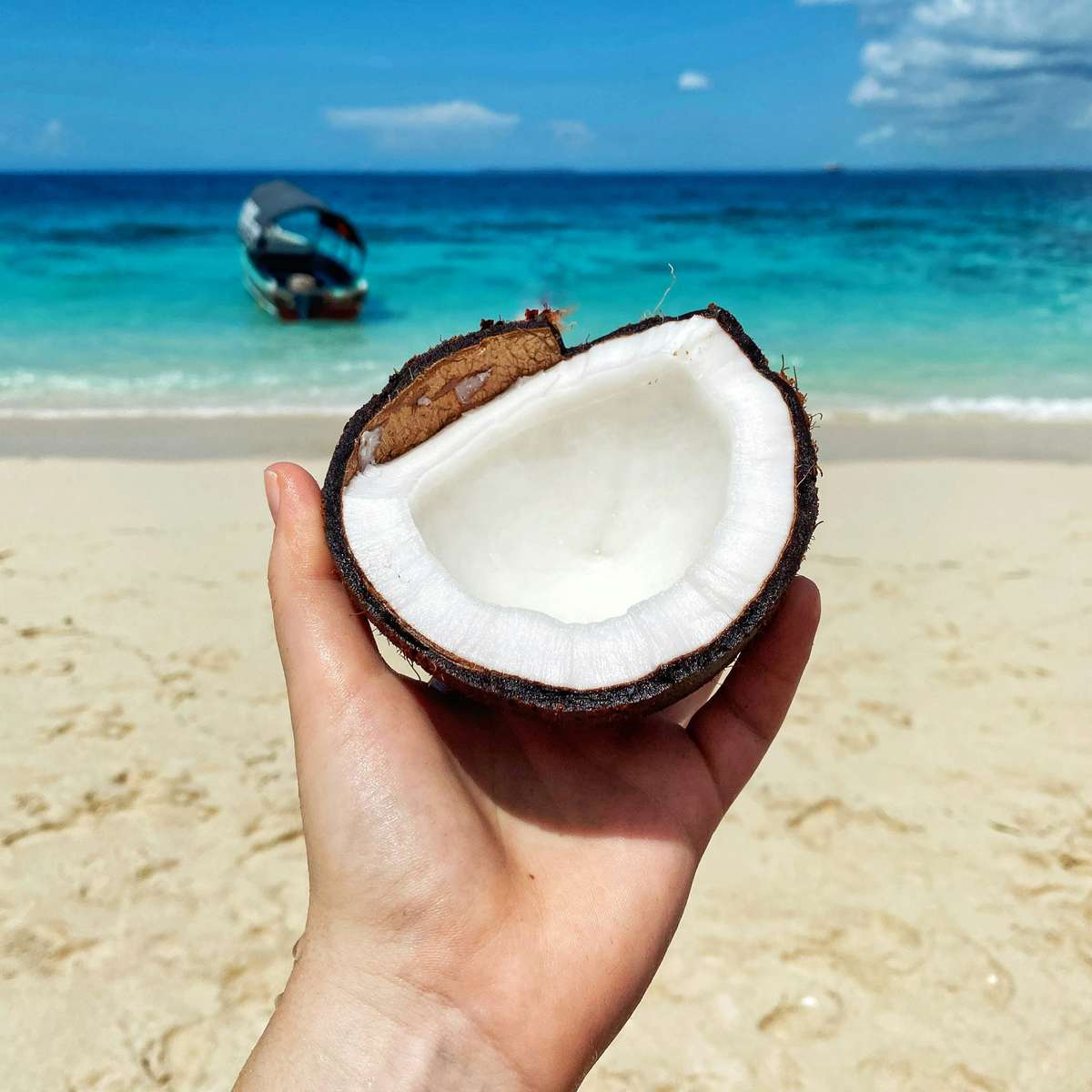 A piece of coconut being held up with an island view