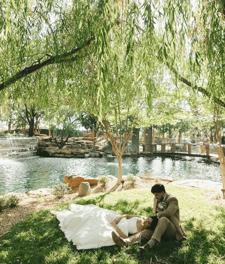 The Willows Garden