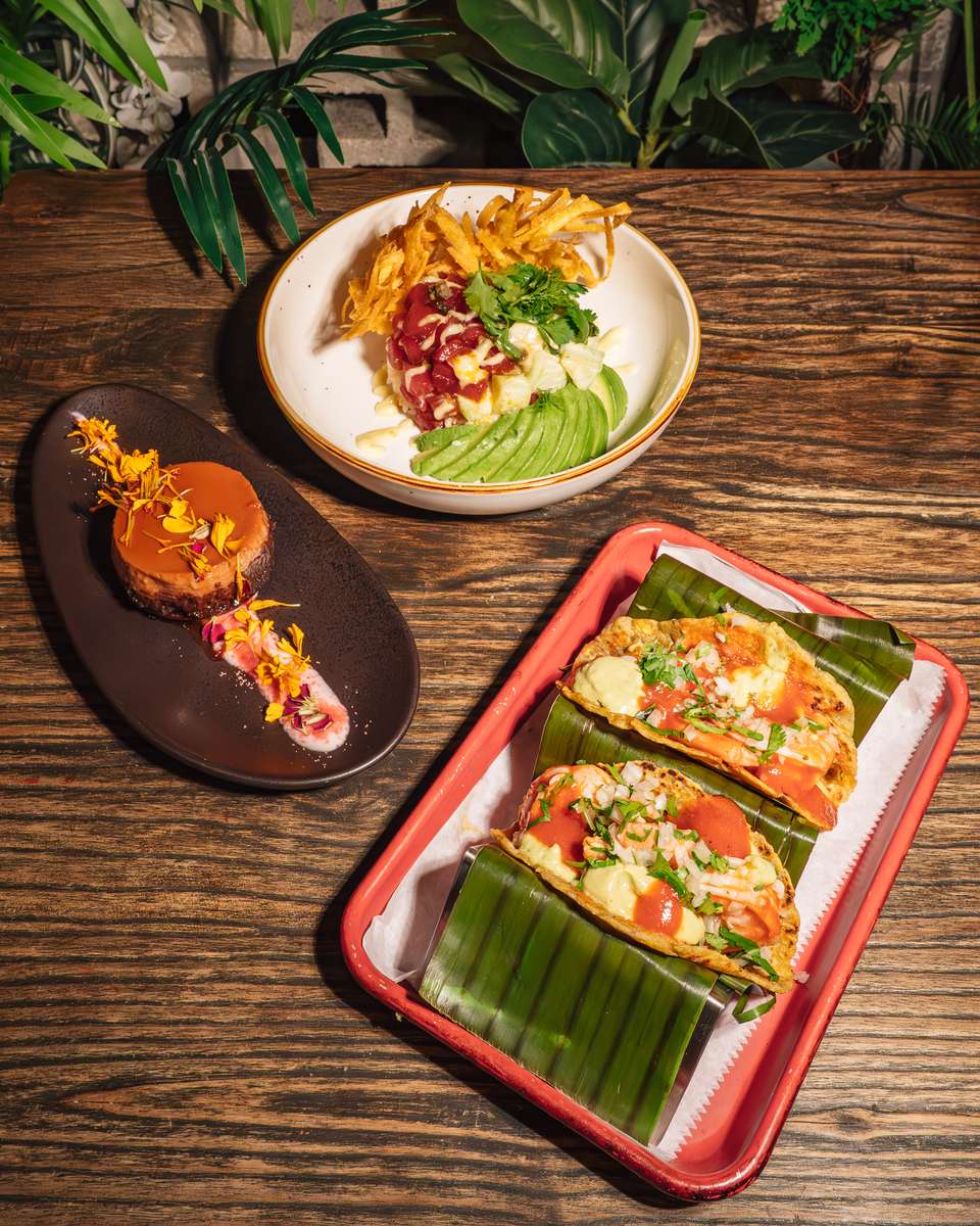 Tacos de Camarones & Chocolate Flancocho & Poke Boricua.jpg