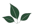Leaf logo divider