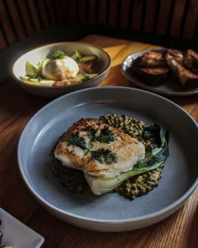 Locally Seasonal Ingredients nashville 