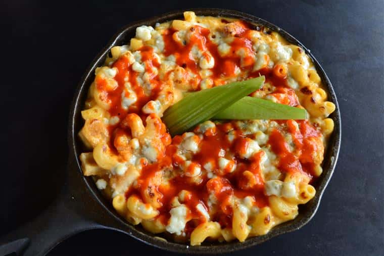 mac buffalo chicken. tender fried chicken breast, house made buffalo sauce, cheddar and melted bleu cheese garnished with celery