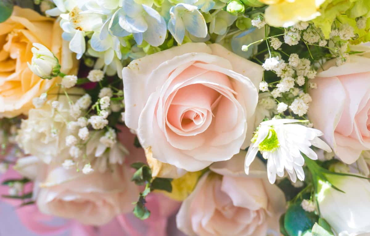flowers