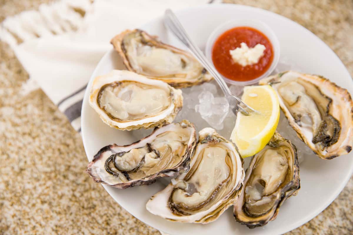 oysters