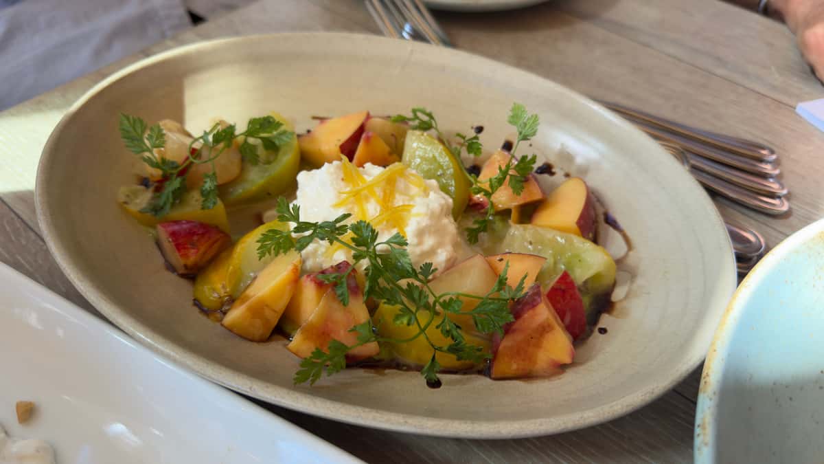 tomato salad with fresh mozz