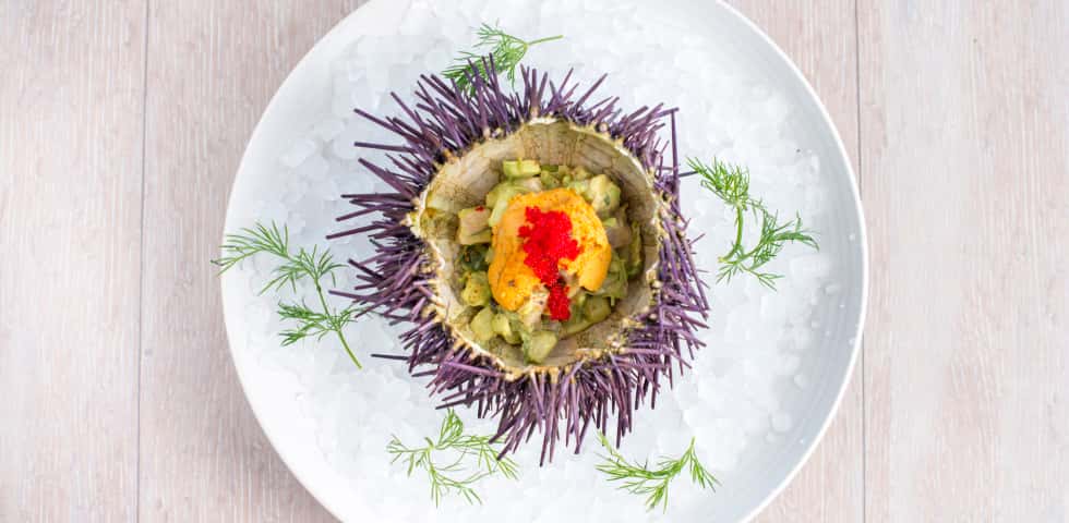 photo of sea urchin appetizer