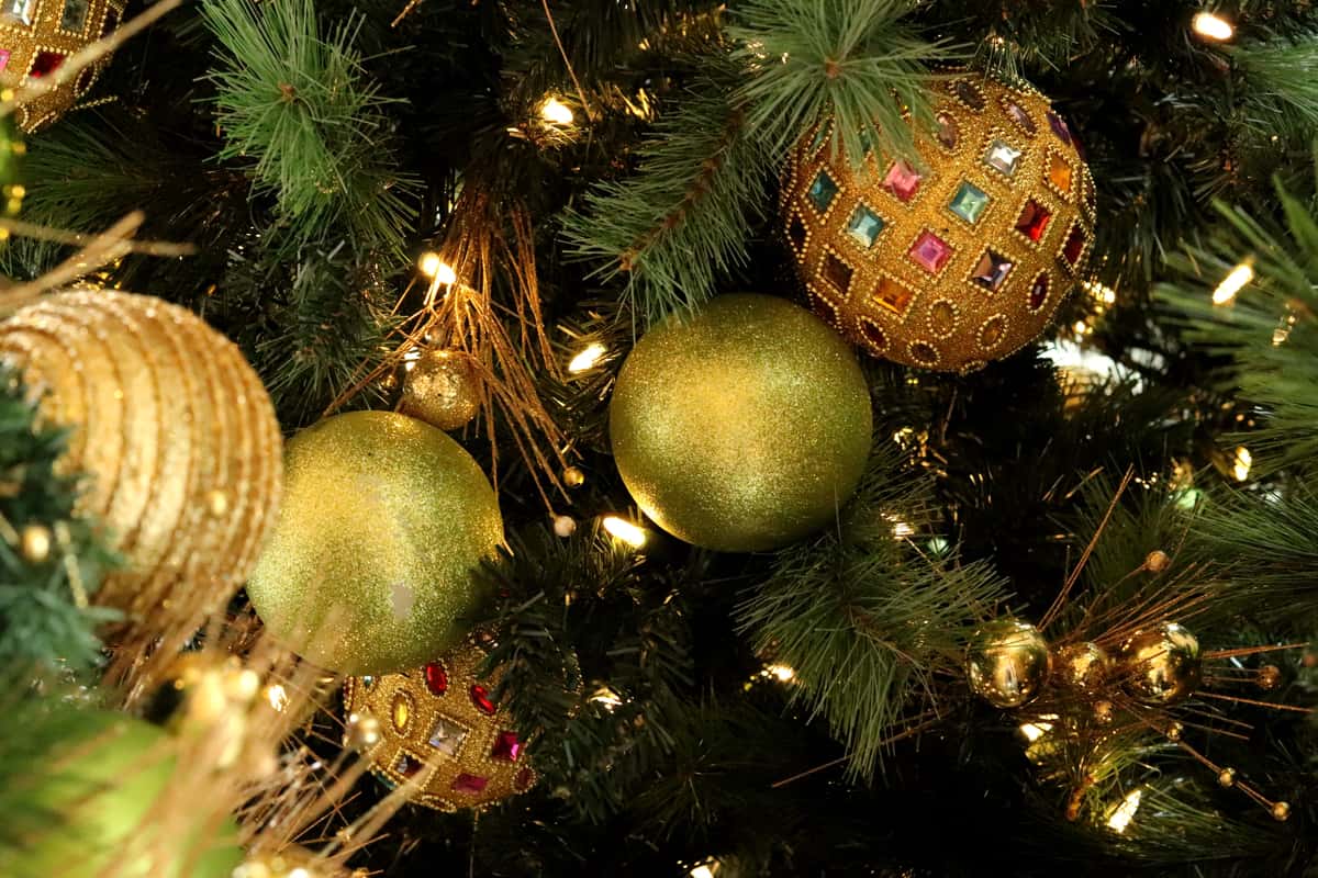 Christmas holiday lights on tthe tree
