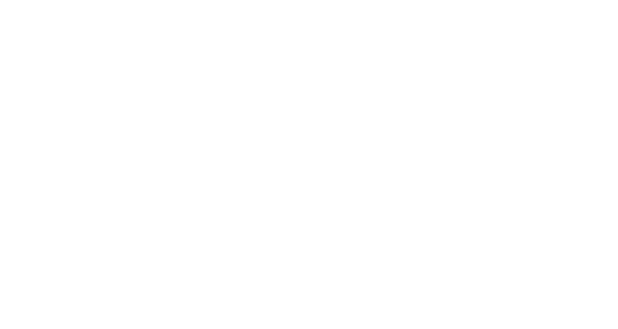 il ponte logo