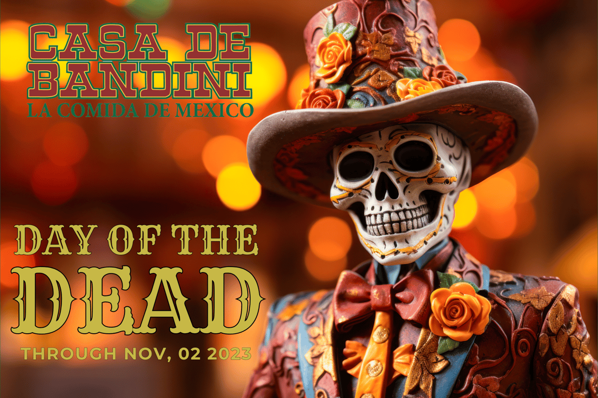 Day of the Dead has everything to do with the afterlife, love and those  colorful skulls you've seen around