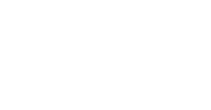 the cock and bull logo