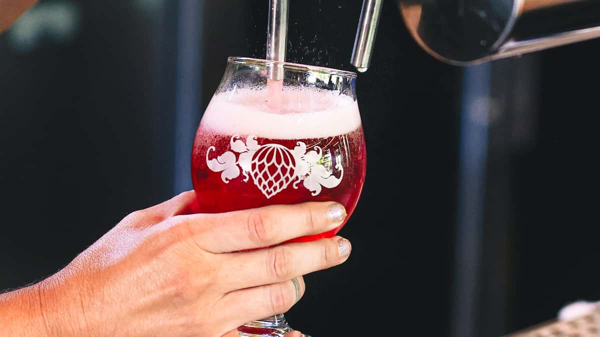 Pouring beer into a Wicked Weed glass