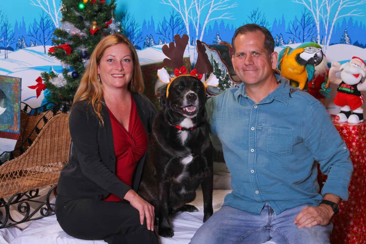holiday pet header