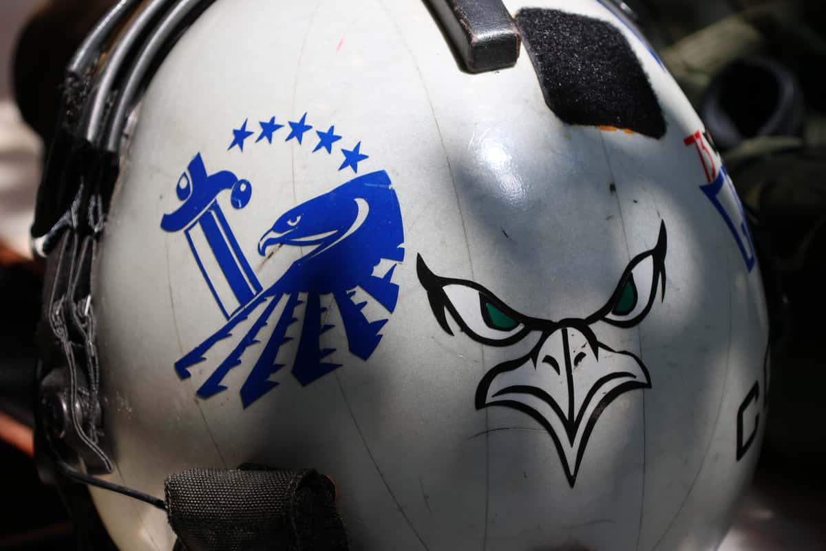 A side of Brent's helmet. It features an eagles face and a bird with five stars and a pillar.
