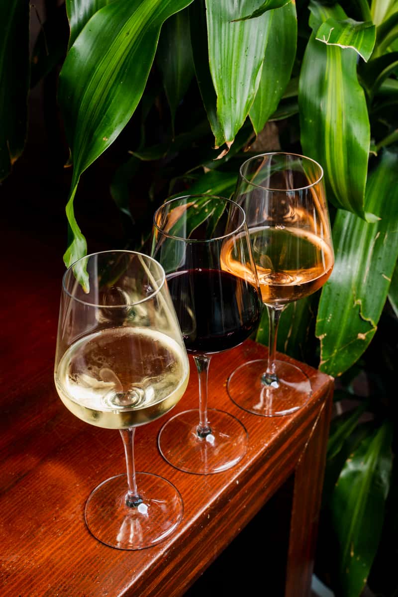 Wine elegantly presented in tall stem glasses on a wooden table with a backdrop of lush greenery.