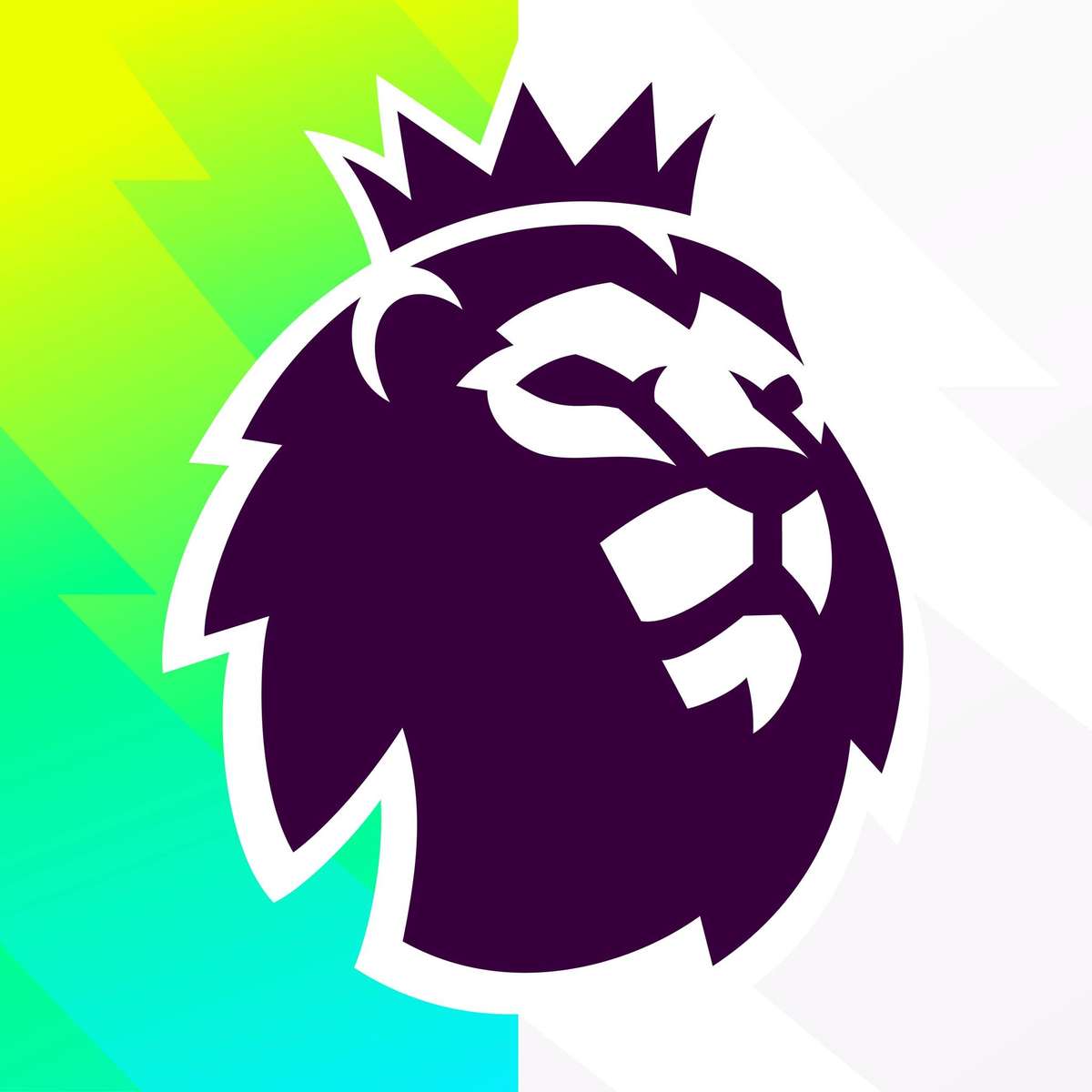 graphic of premiere league logo