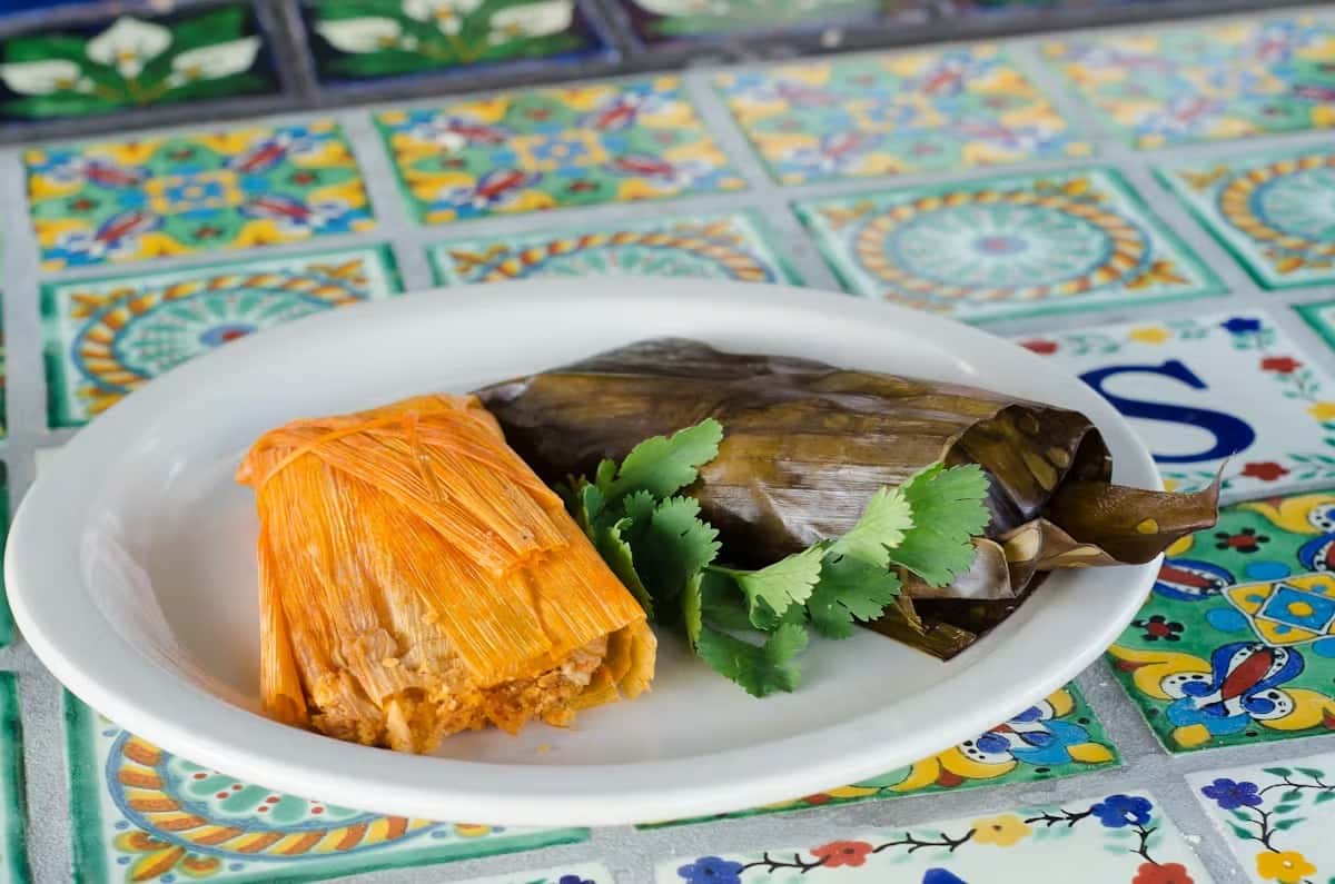 Traditional Mexican tamales wrapped in corn husk and banana leaf, served on a white plate with fresh cilantro – authentic homemade Mexican cuisine.
