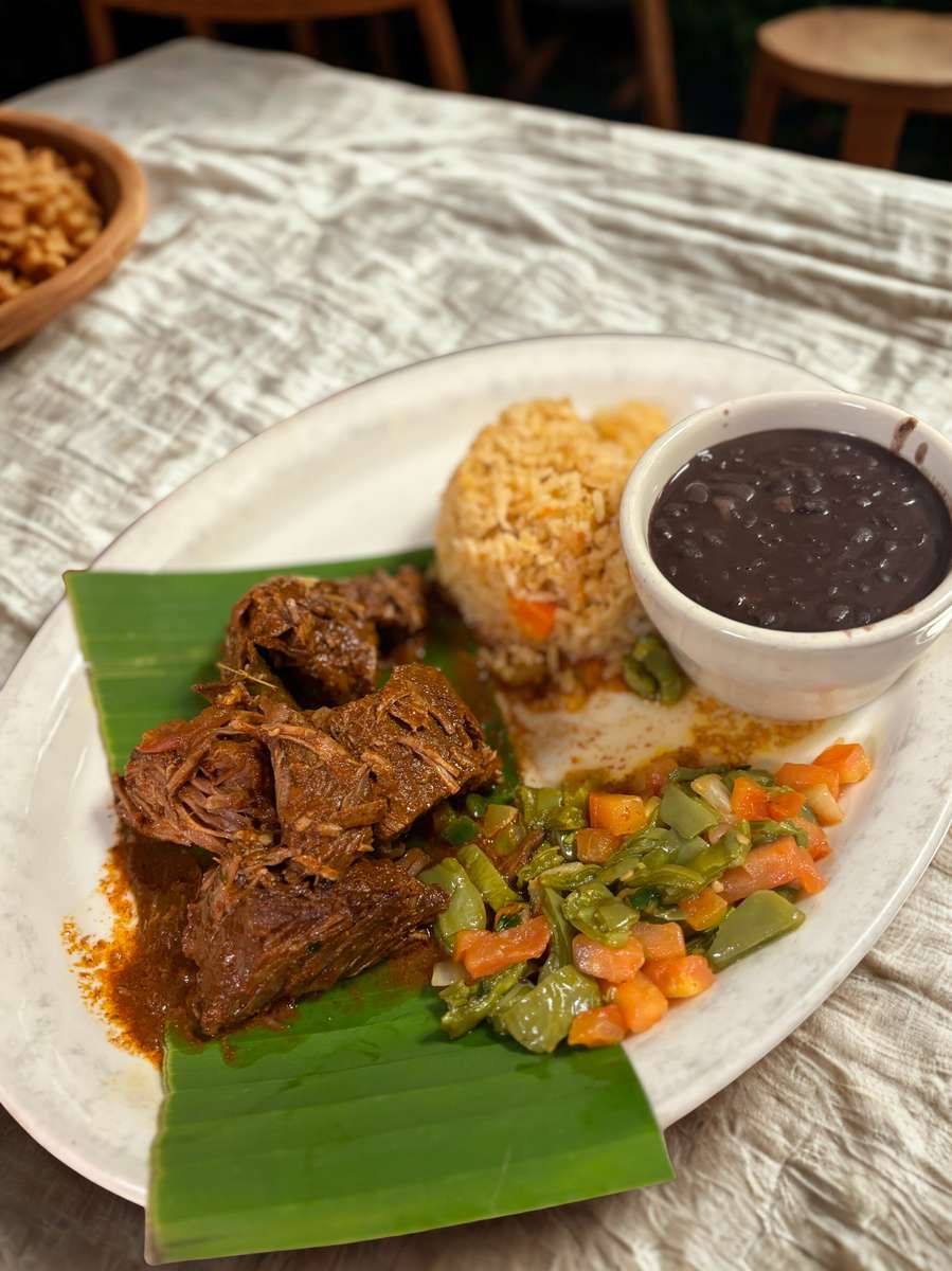 Birria plate