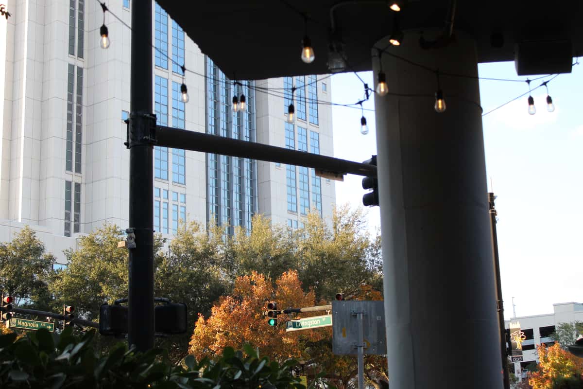 Patio View