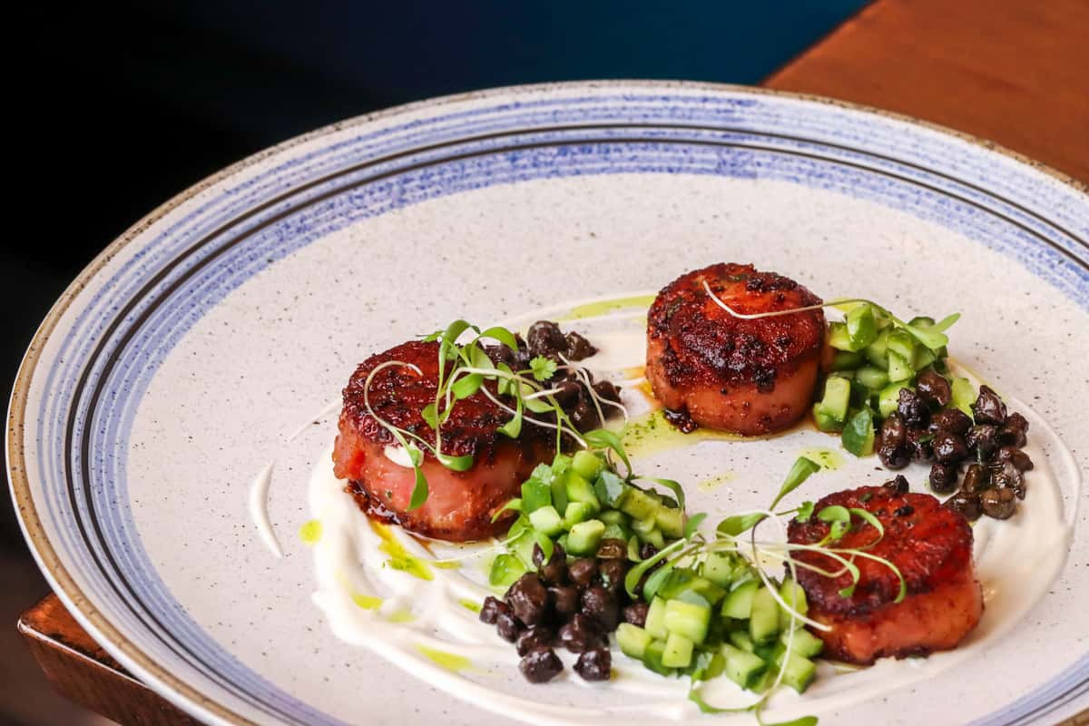 Scallops
