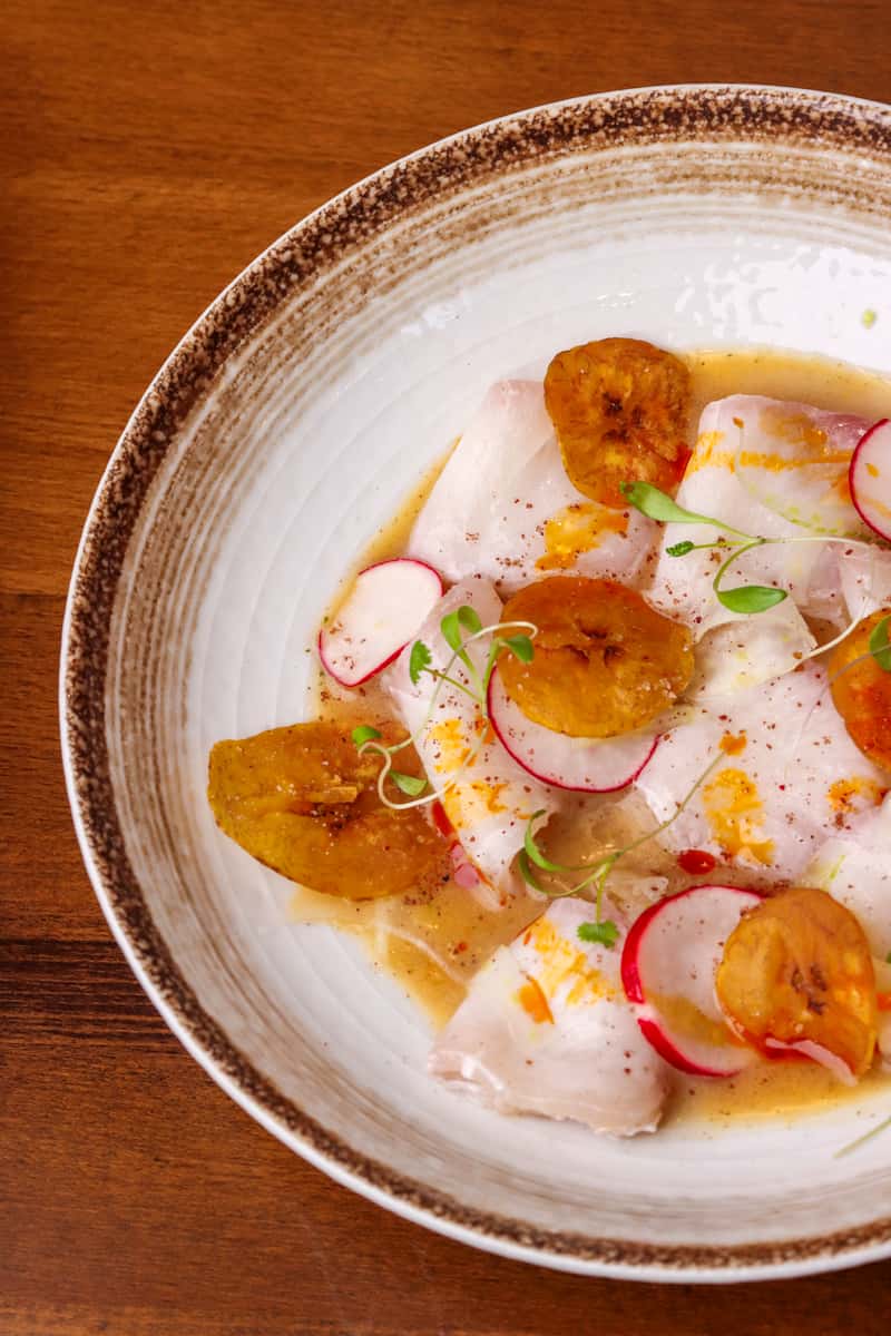 Gulf Coast Cobia