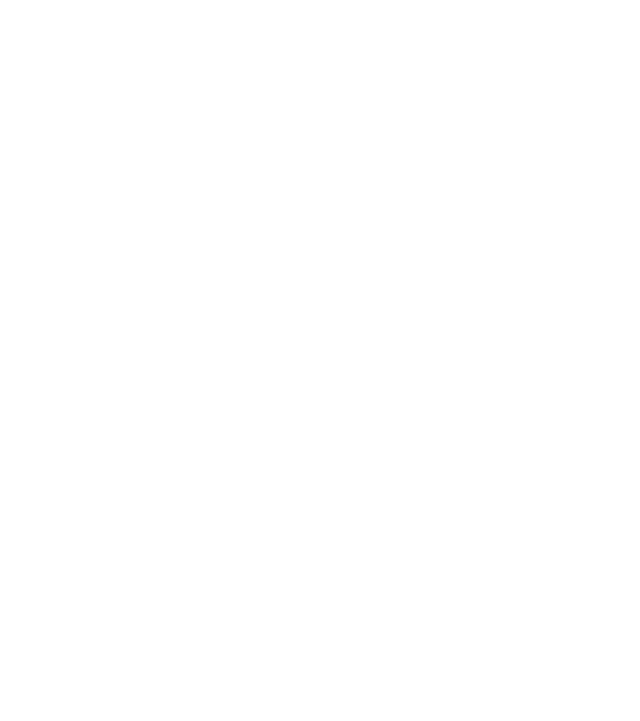 Akai Logo