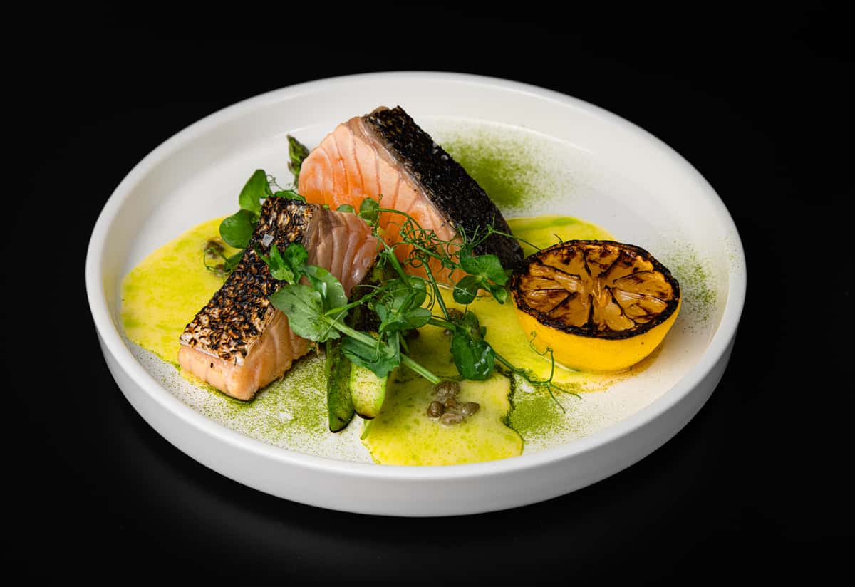 Bravado Salmon