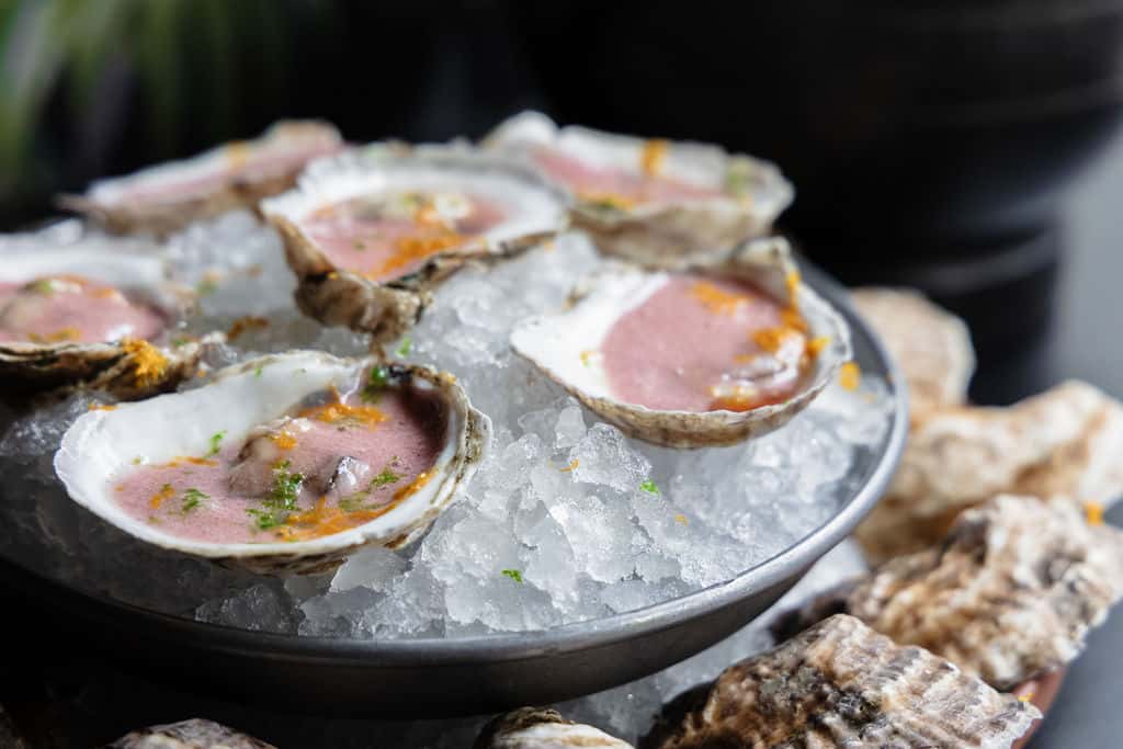 Oysters