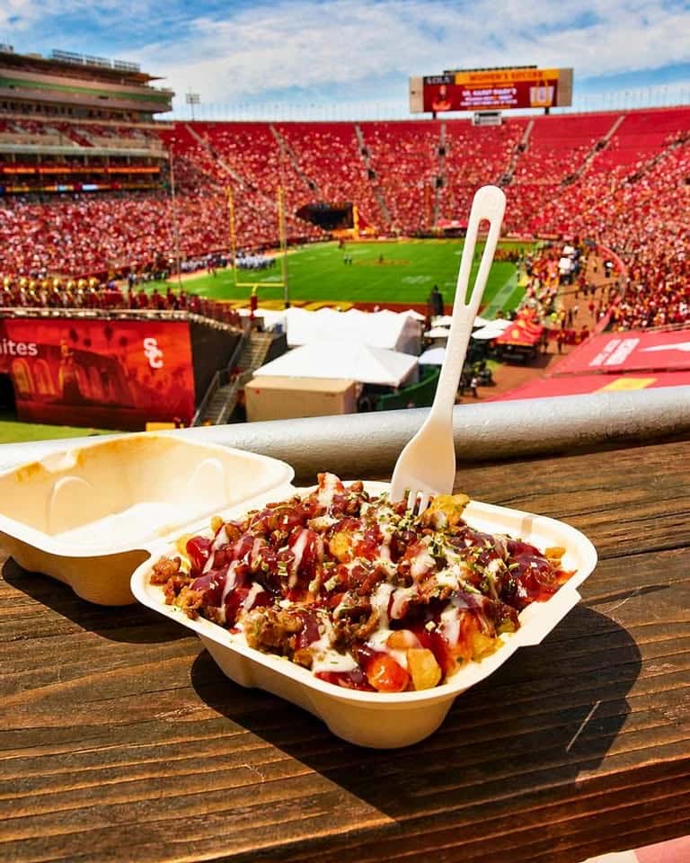 A paper tray of loaded fries with a fork, held in front of red stadium seats