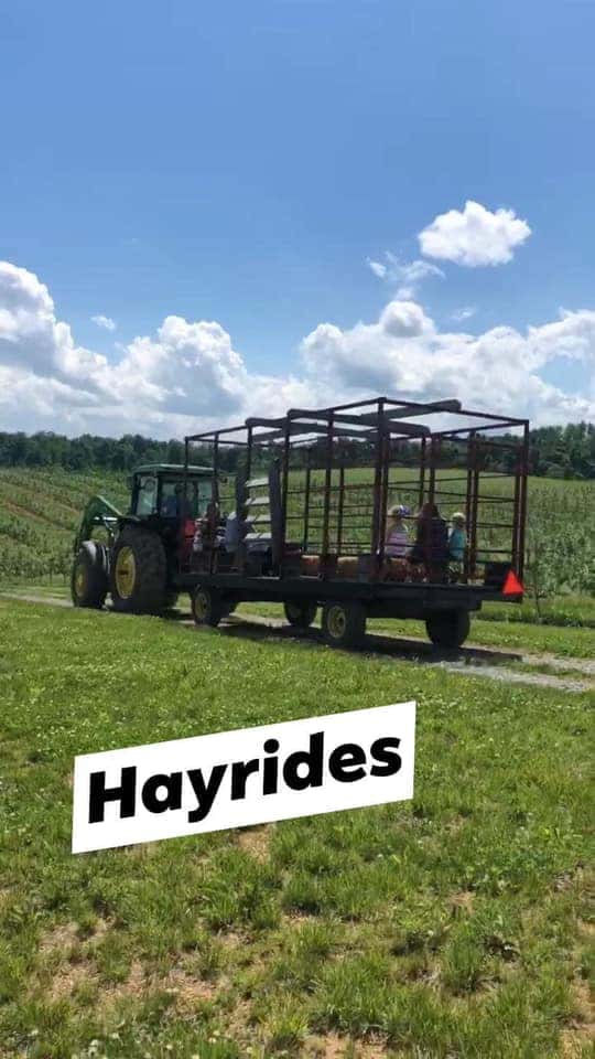 hayride