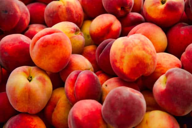 peaches