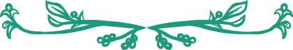 Teal decorative border