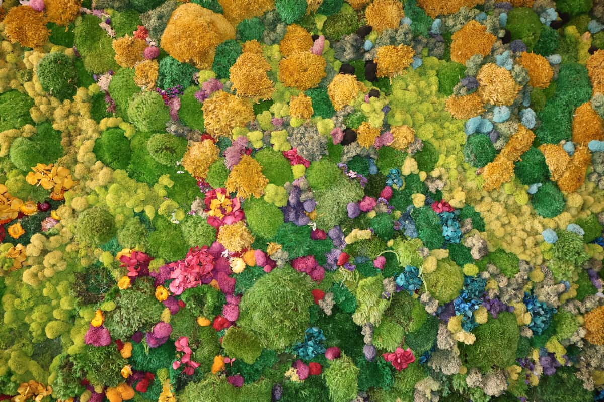 Moss Wall.