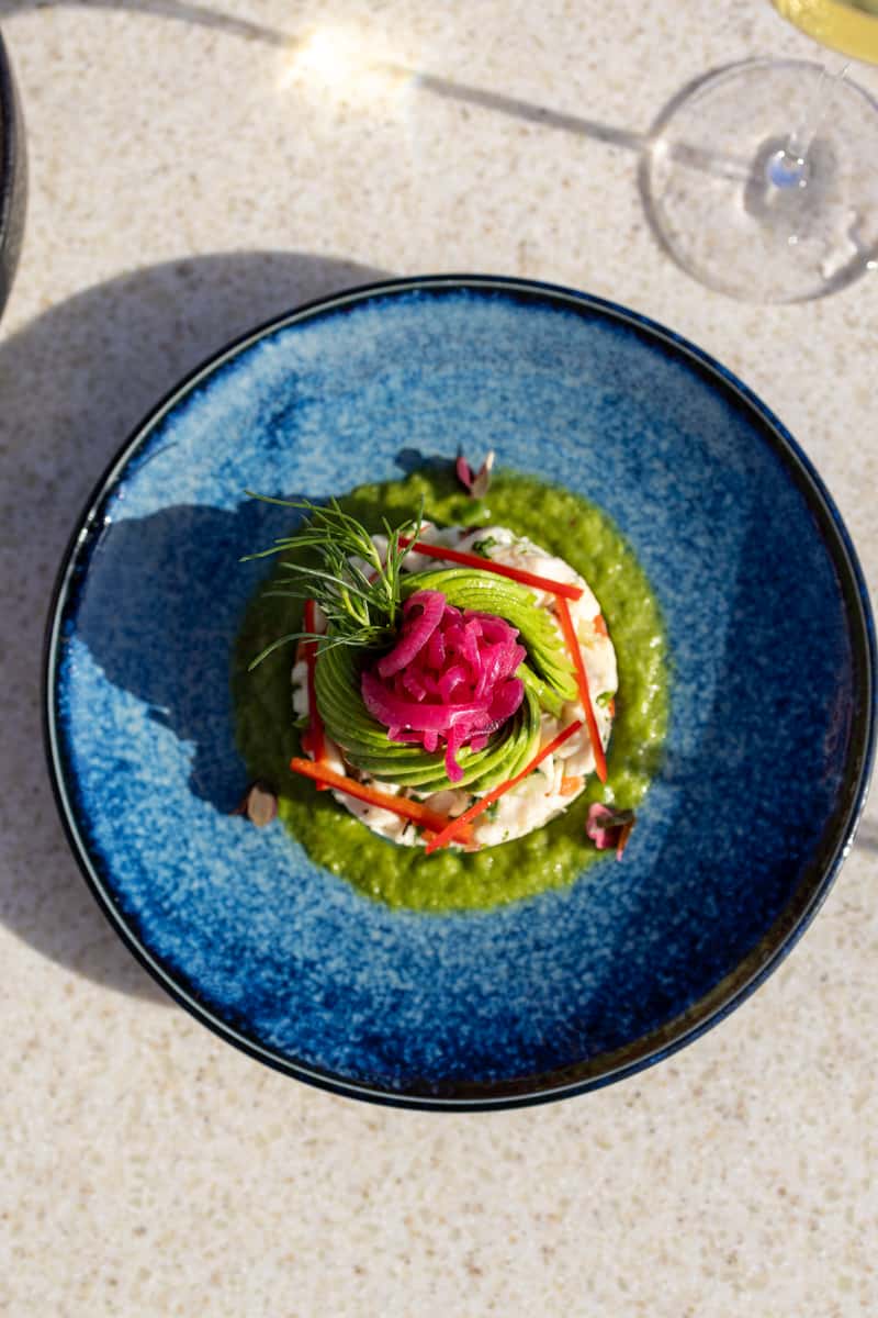 Top view of a artfully plated dish