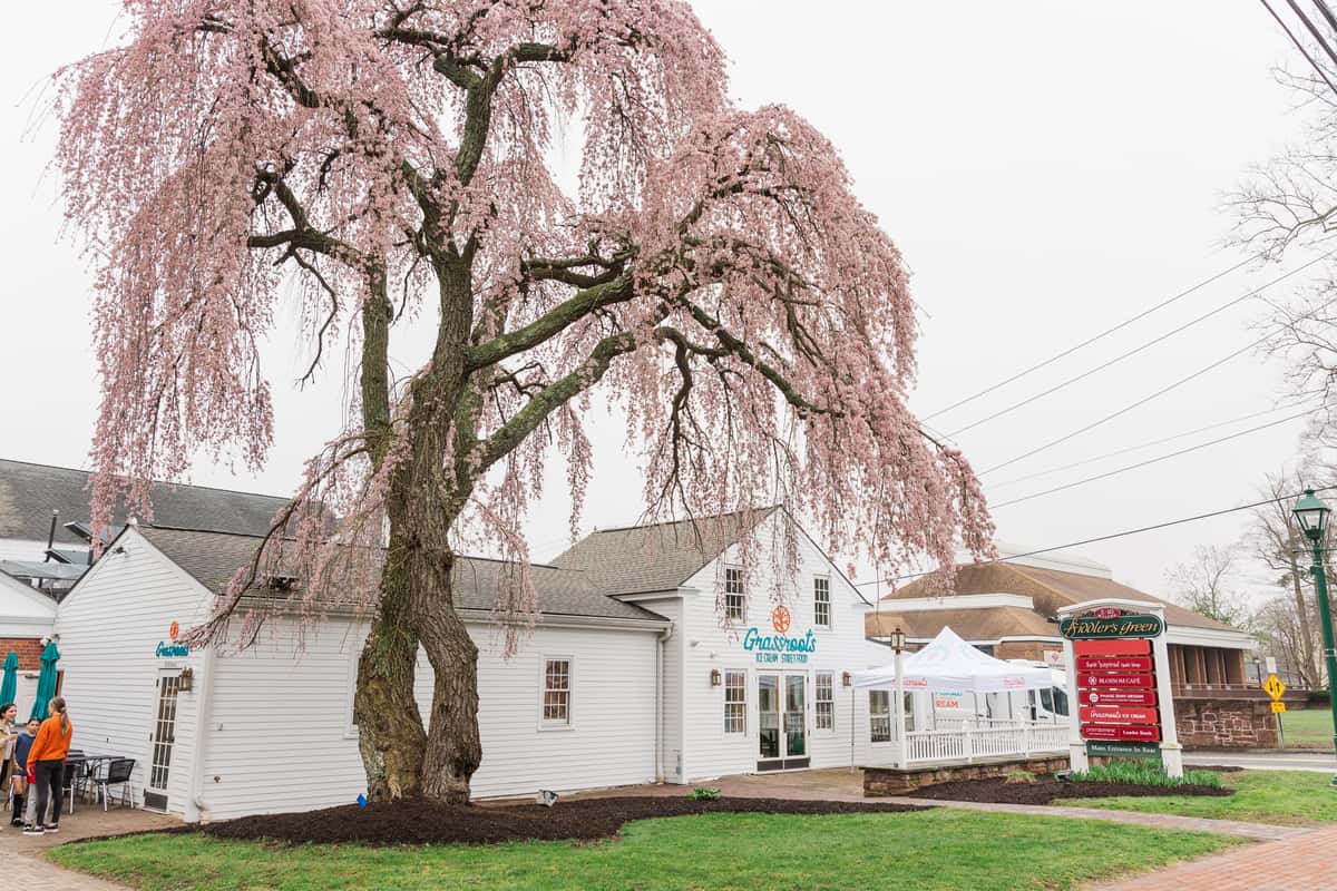 Simsbury exterior