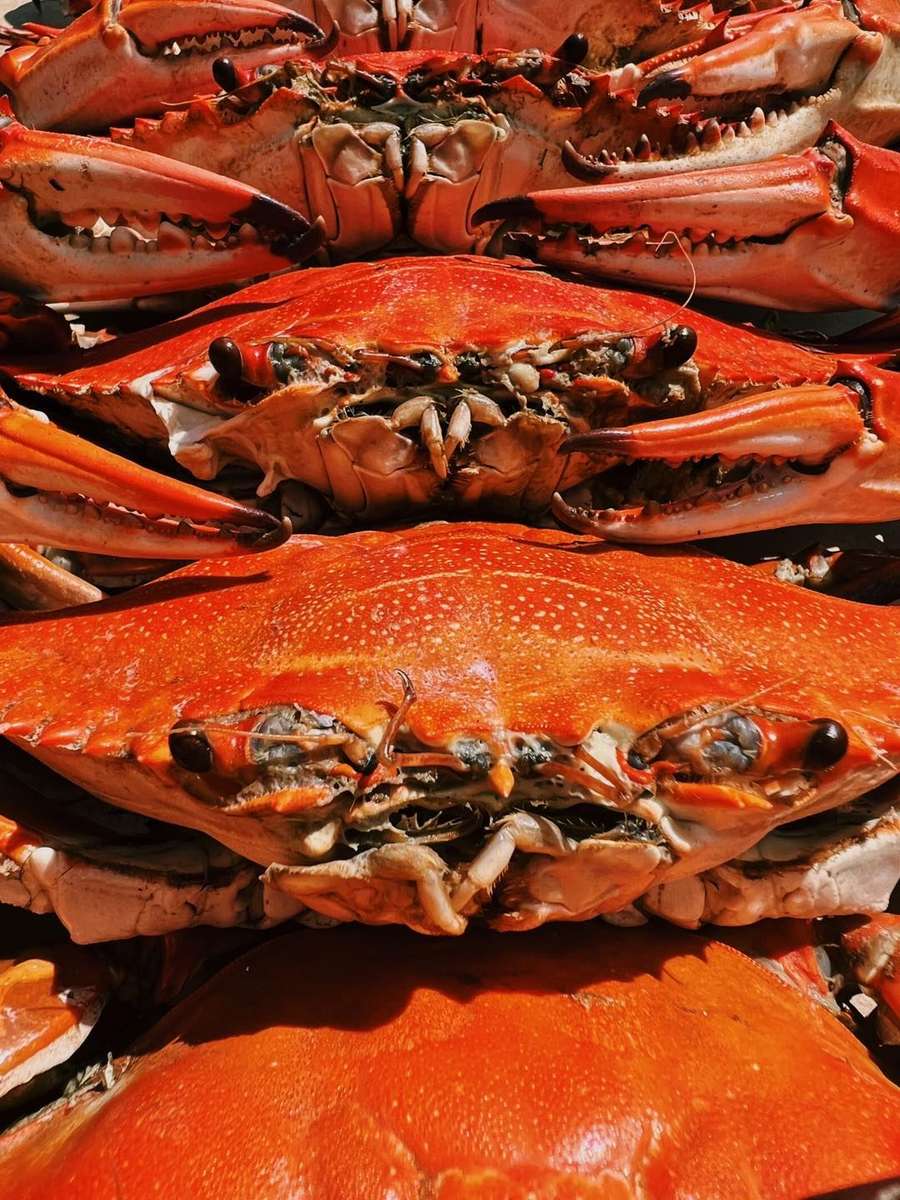 seafood