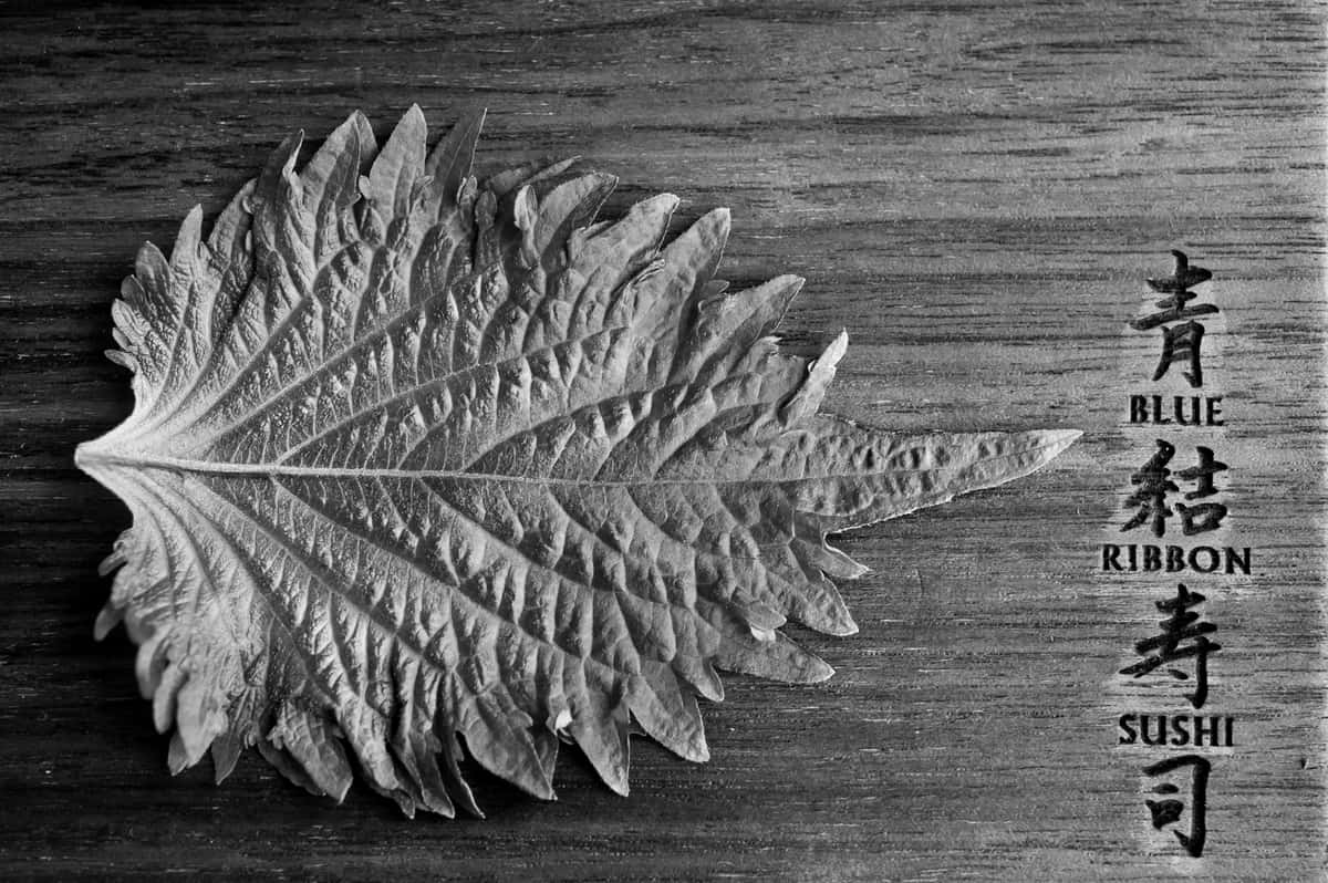 oba leaf board