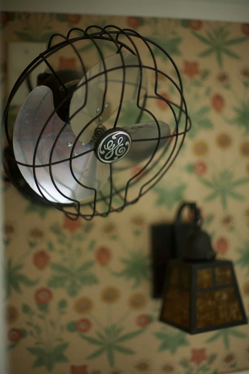 Fan