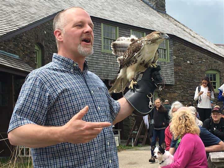 Greylock's birds of Prey