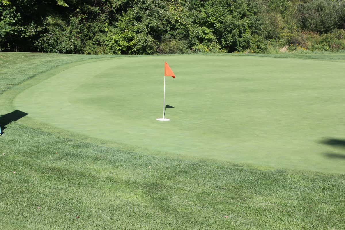 flag on golf course