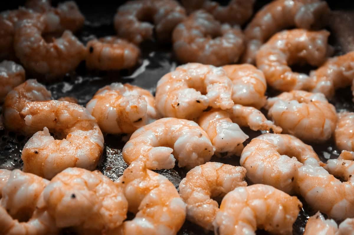 shrimp