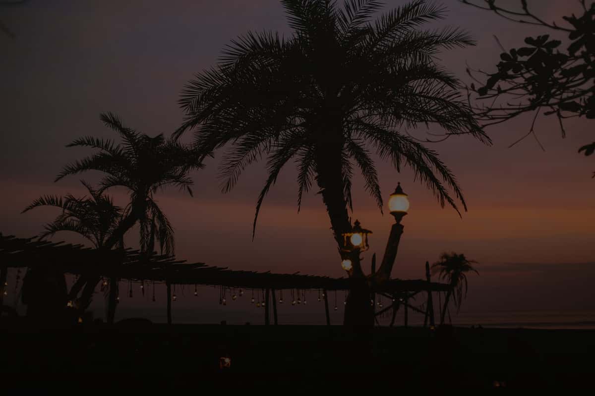 Silhouetted palm trees and string lights on a tropical beach during sunset backdrop.