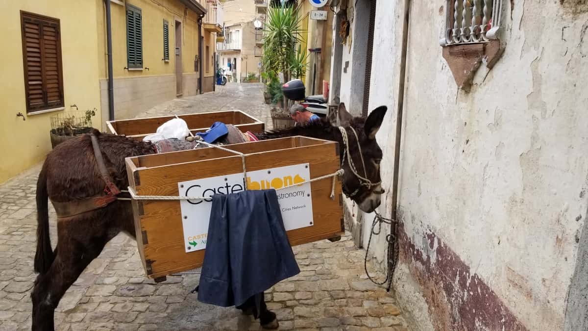 Garbage truck, A.K.A. Donkey