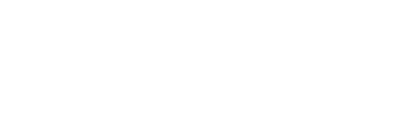 The Bassment