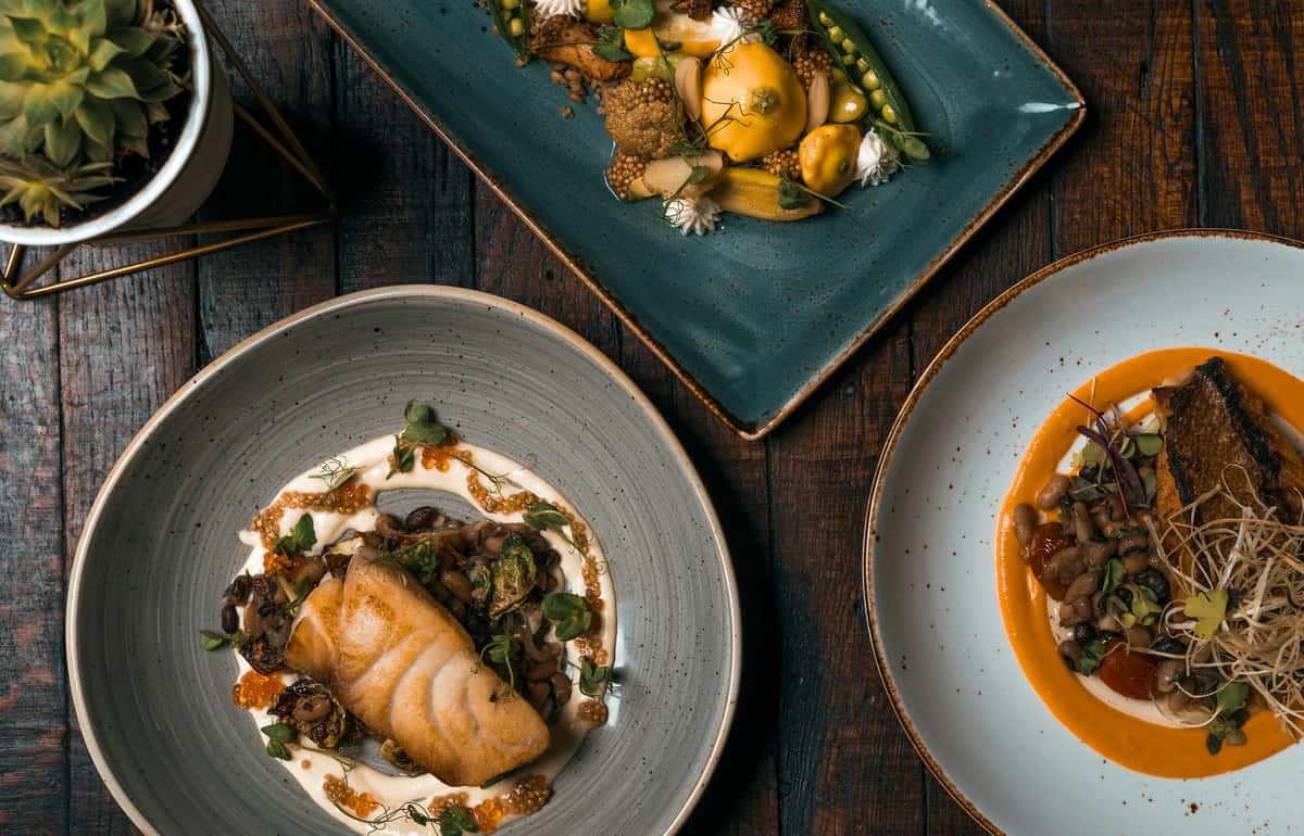 Rustic gourmet trio featuring pan-seared white fish with cream, heirloom vegetables, and a rich bean medley with tomato coulis on textured ceramic plates.