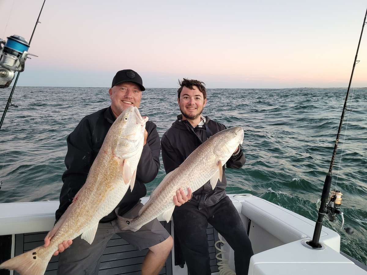 Redfish