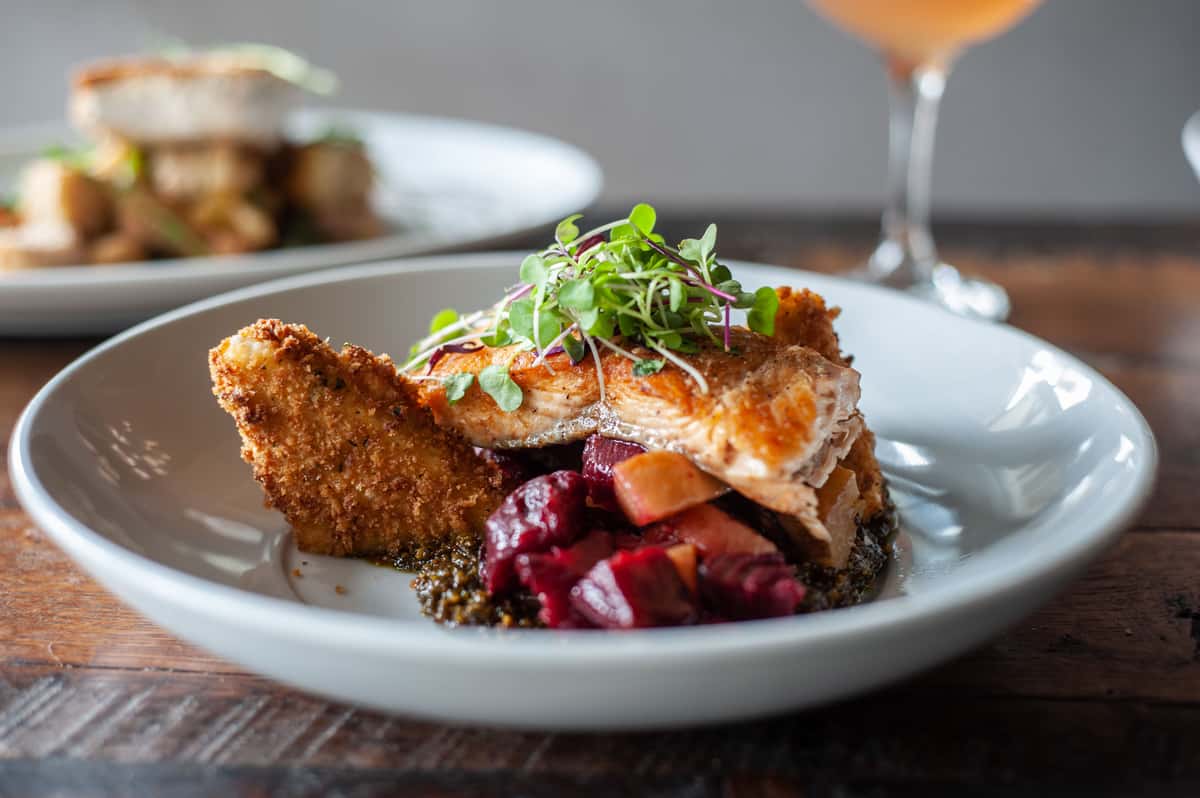 SALMON